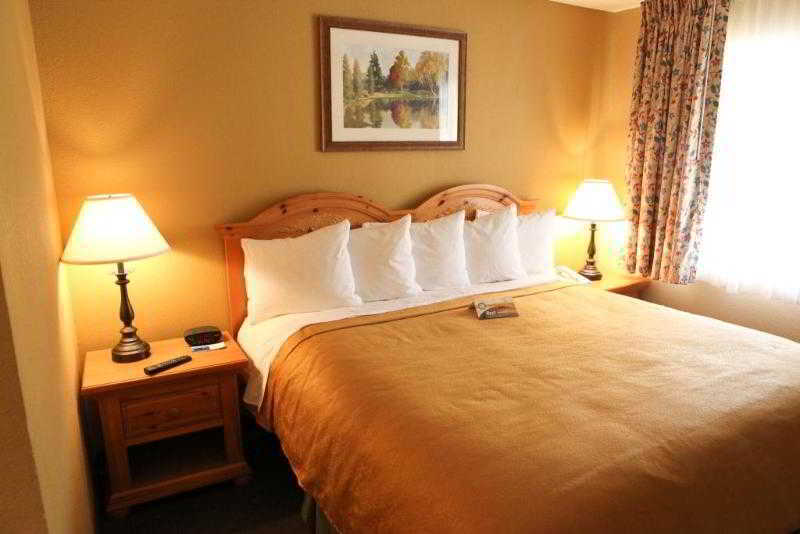 3 Palms Tucson North Foothills Hotel Casas Adobes Bagian luar foto